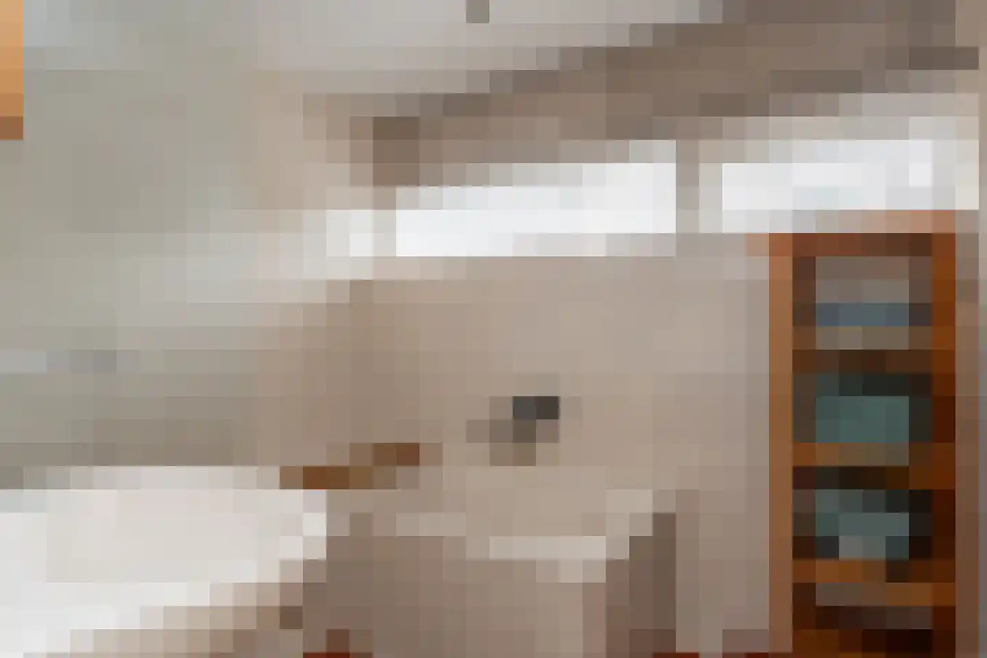 Dorpshuisstraat 43 Nieuwe Pekela thumbnail 23