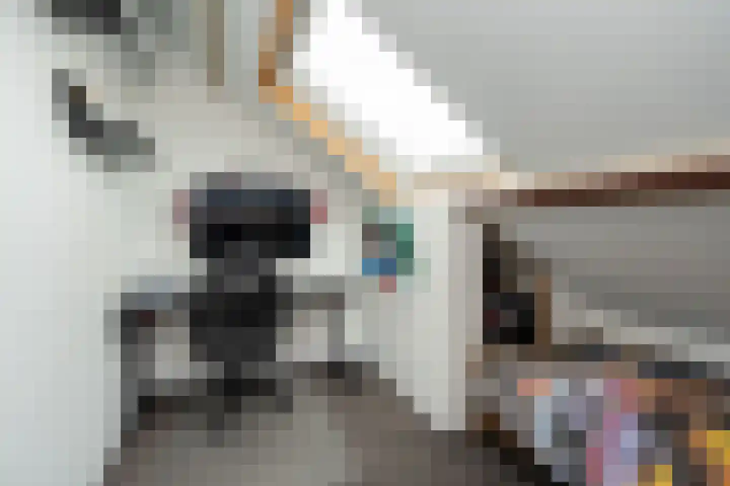 Dorpshuisstraat 43 Nieuwe Pekela thumbnail 27