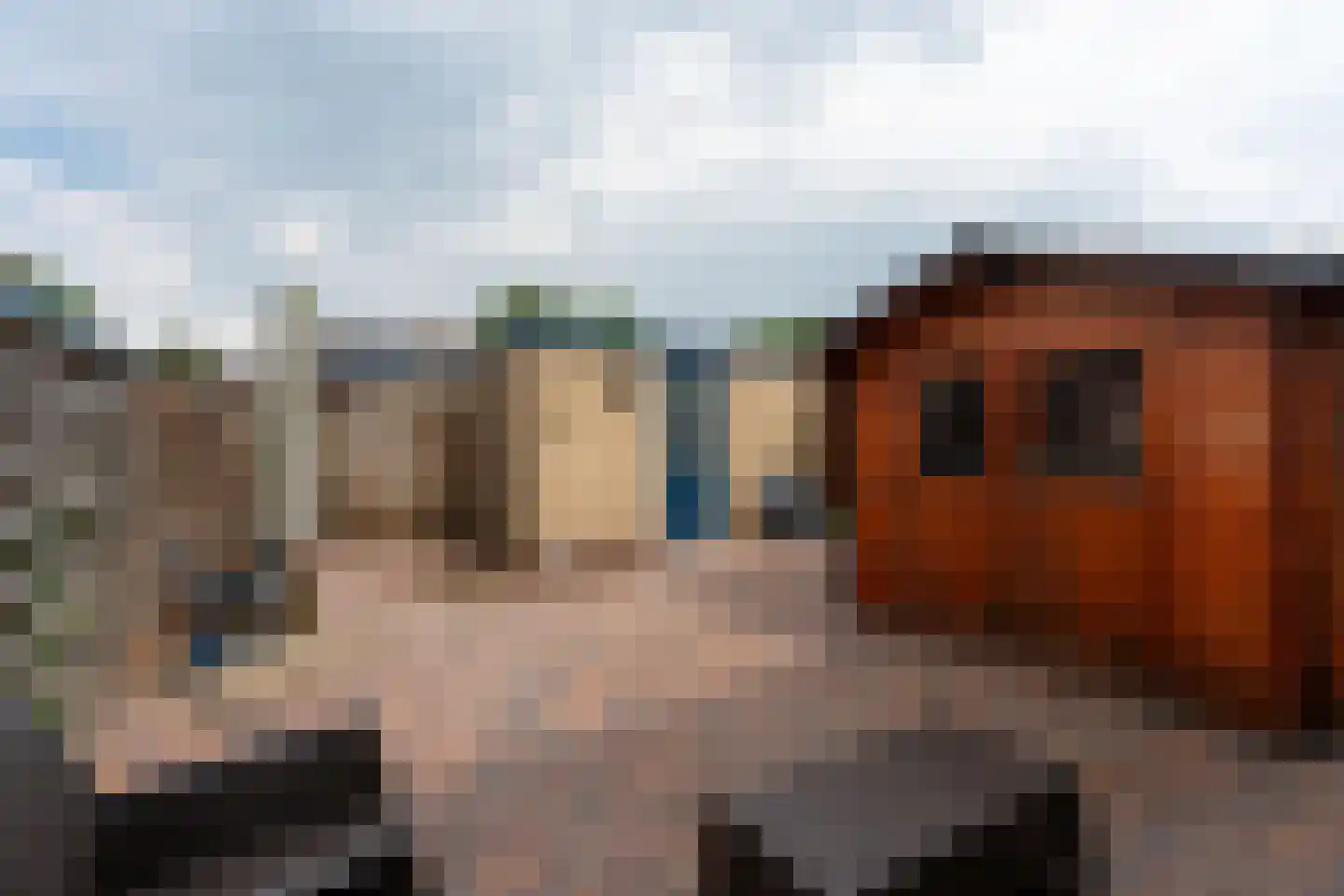 Dorpshuisstraat 43 Nieuwe Pekela thumbnail 30