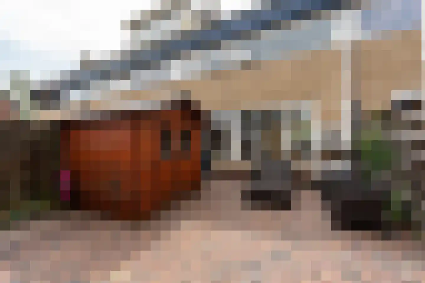 Dorpshuisstraat 43 Nieuwe Pekela thumbnail 31