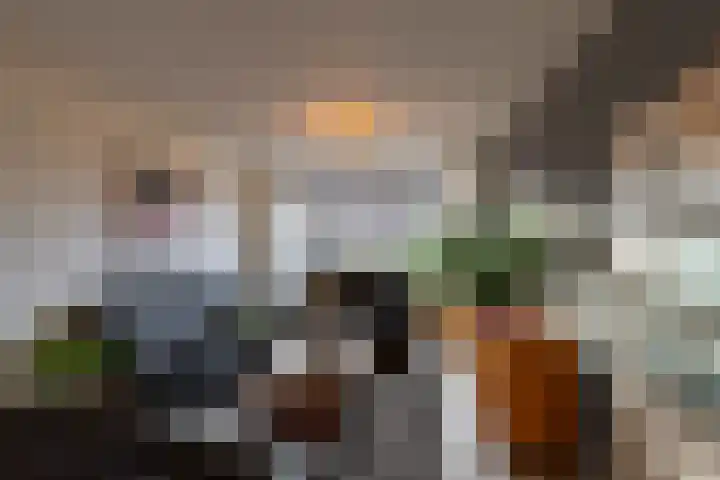 Dorpshuisweg 39 Harkstede thumbnail 4