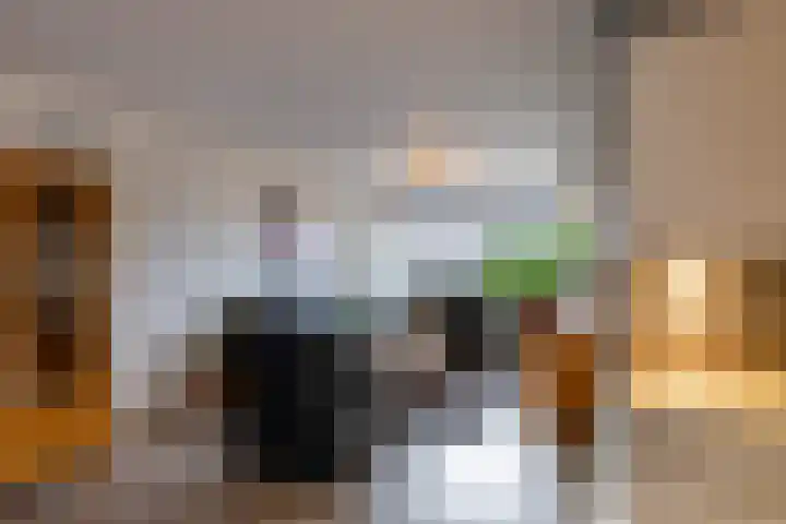 Dorpshuisweg 39 Harkstede thumbnail 5