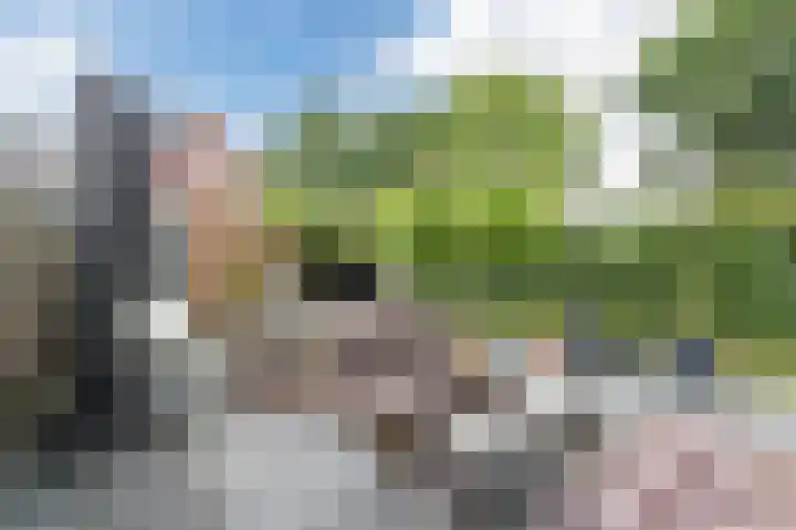 Dorpshuisweg 42 Harkstede thumbnail 51