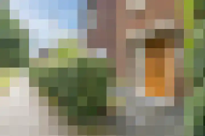 Dorpshuisweg 42 Harkstede thumbnail 6