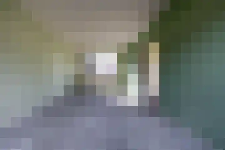 Dorpshuisweg 45 Harkstede thumbnail 4