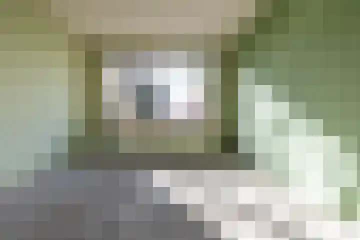 Dorpshuisweg 45 Harkstede thumbnail 5