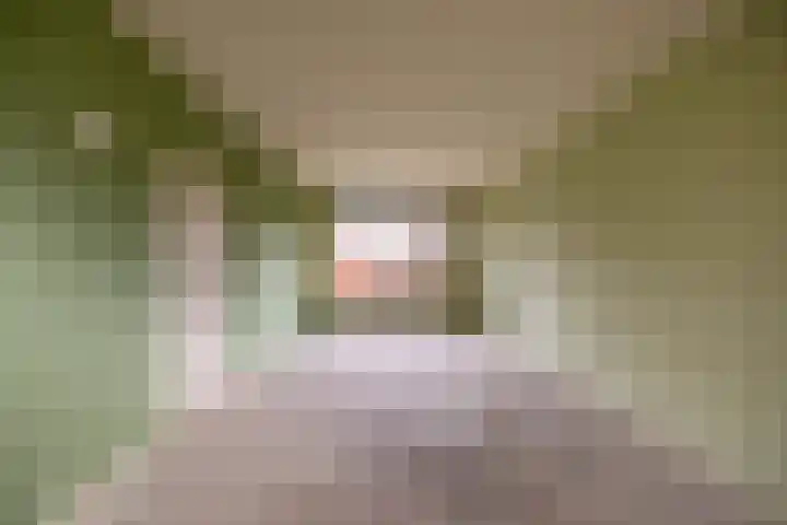 Dorpshuisweg 45 Harkstede thumbnail 6
