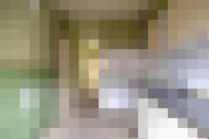Dorpshuisweg 45 Harkstede thumbnail 8