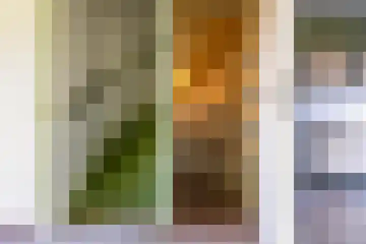 Dorpshuisweg 45 Harkstede thumbnail 9
