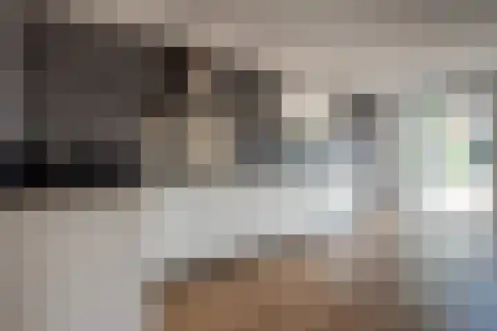 Dorpshuisweg 8 A Harkstede thumbnail 5