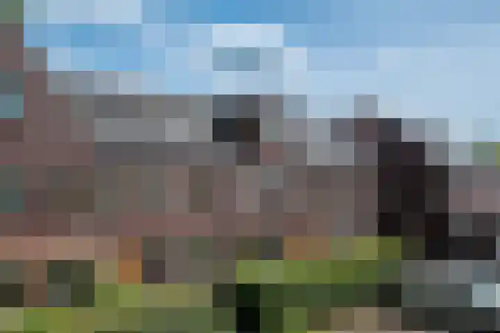 Dorpshuisweg 8 A Harkstede thumbnail 6