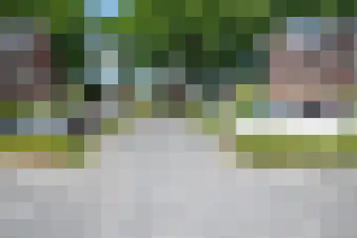 Dorpshuisweg 8 A Harkstede thumbnail 9