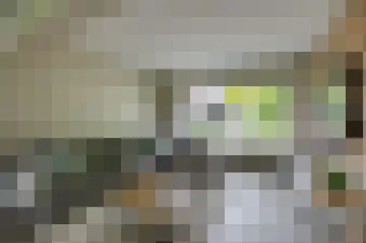 Dorpskant 4 Kilder thumbnail 28