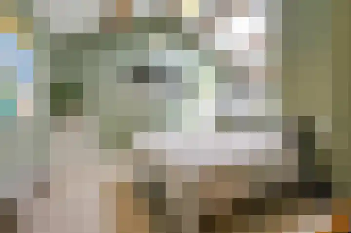 Dorpskant 4 Kilder thumbnail 35