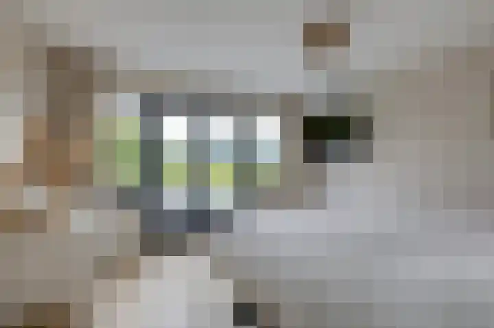 Dorpskant 4 Kilder thumbnail 44