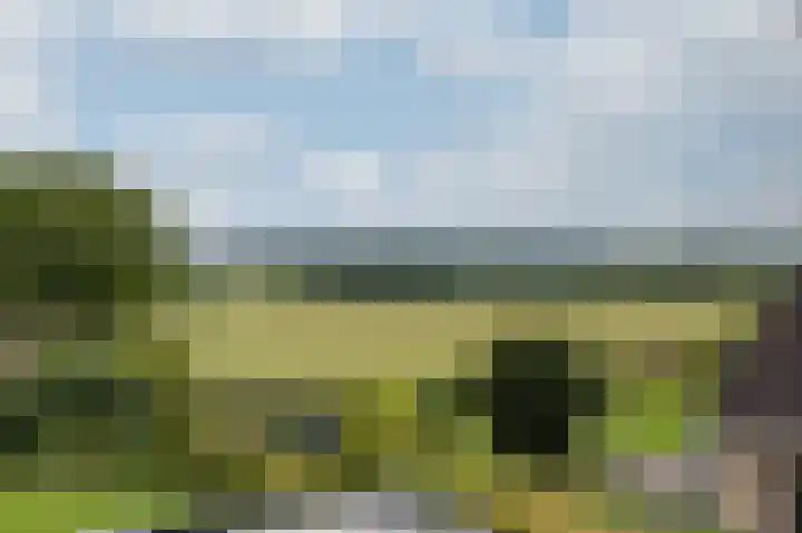 Dorpskant 4 Kilder thumbnail 45