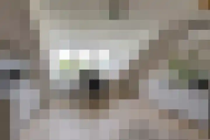Dorpskant 4 Kilder thumbnail 63