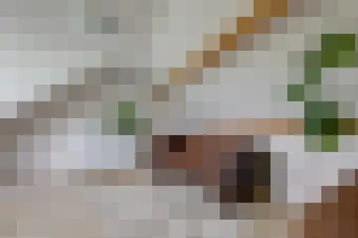 Dorpskant 4 Kilder thumbnail 66