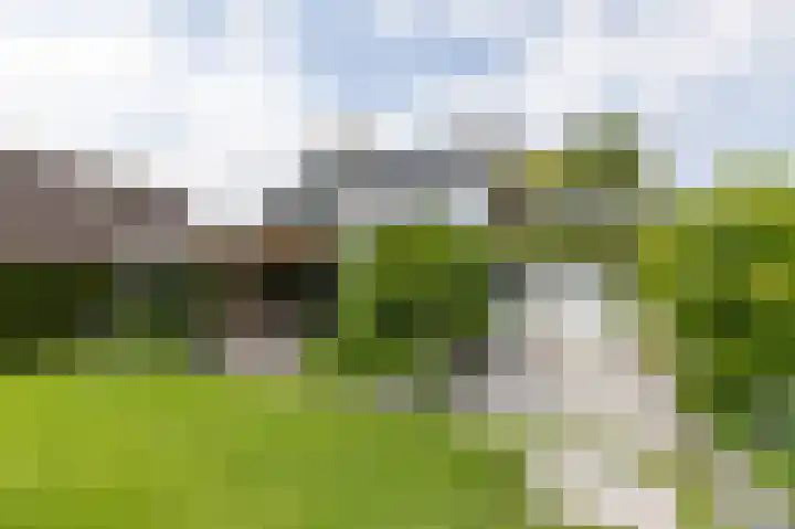 Dorpskant 4 Kilder thumbnail 73