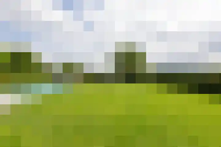 Dorpskant 4 Kilder thumbnail 84