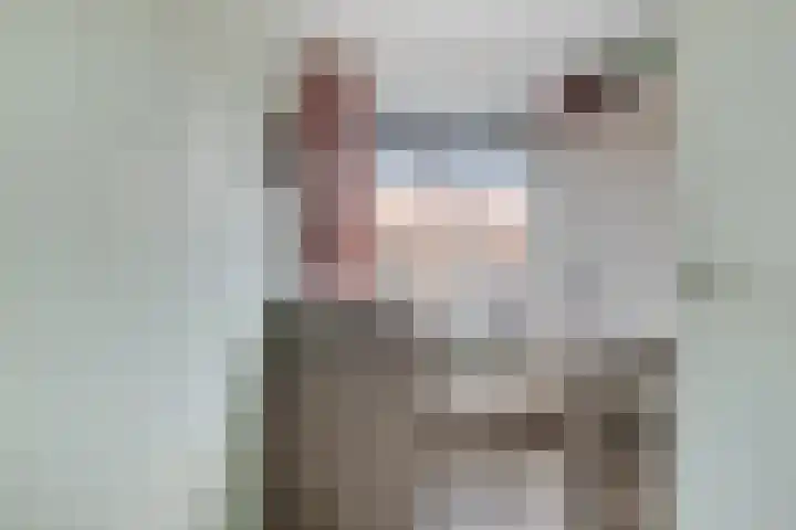 Dorpslaan 17 Nieuw-Lekkerland thumbnail 15