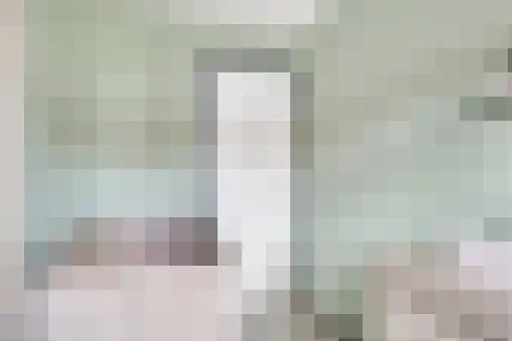 Dorpslaan 17 Nieuw-Lekkerland thumbnail 16