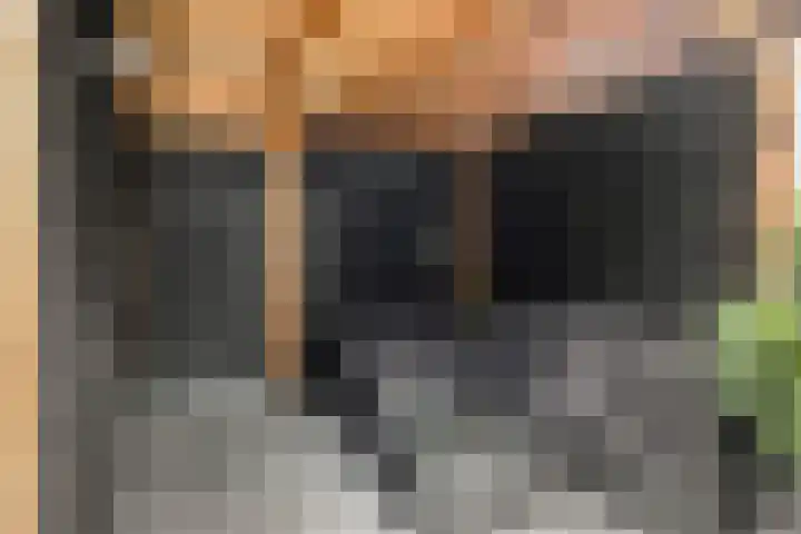 Dorpslaan 17 Nieuw-Lekkerland thumbnail 22
