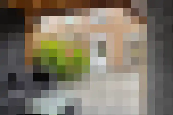 Dorpslaan 17 Nieuw-Lekkerland thumbnail 23