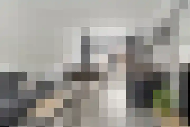 Dorpslaan 17 Nieuw-Lekkerland thumbnail 4
