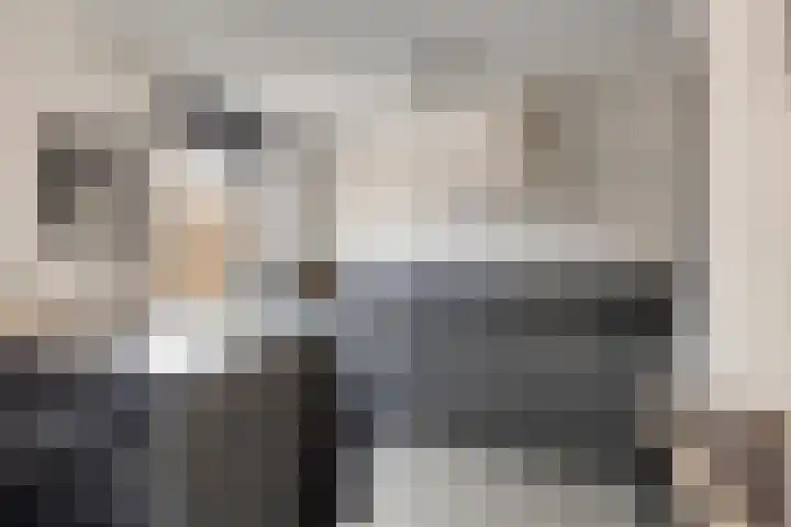 Dorpslaan 17 Nieuw-Lekkerland thumbnail 8