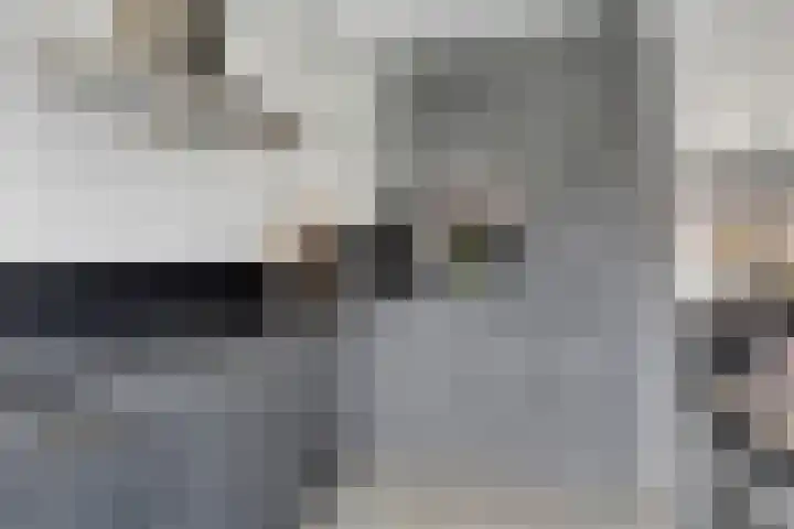 Dorpslaan 17 Nieuw-Lekkerland thumbnail 9