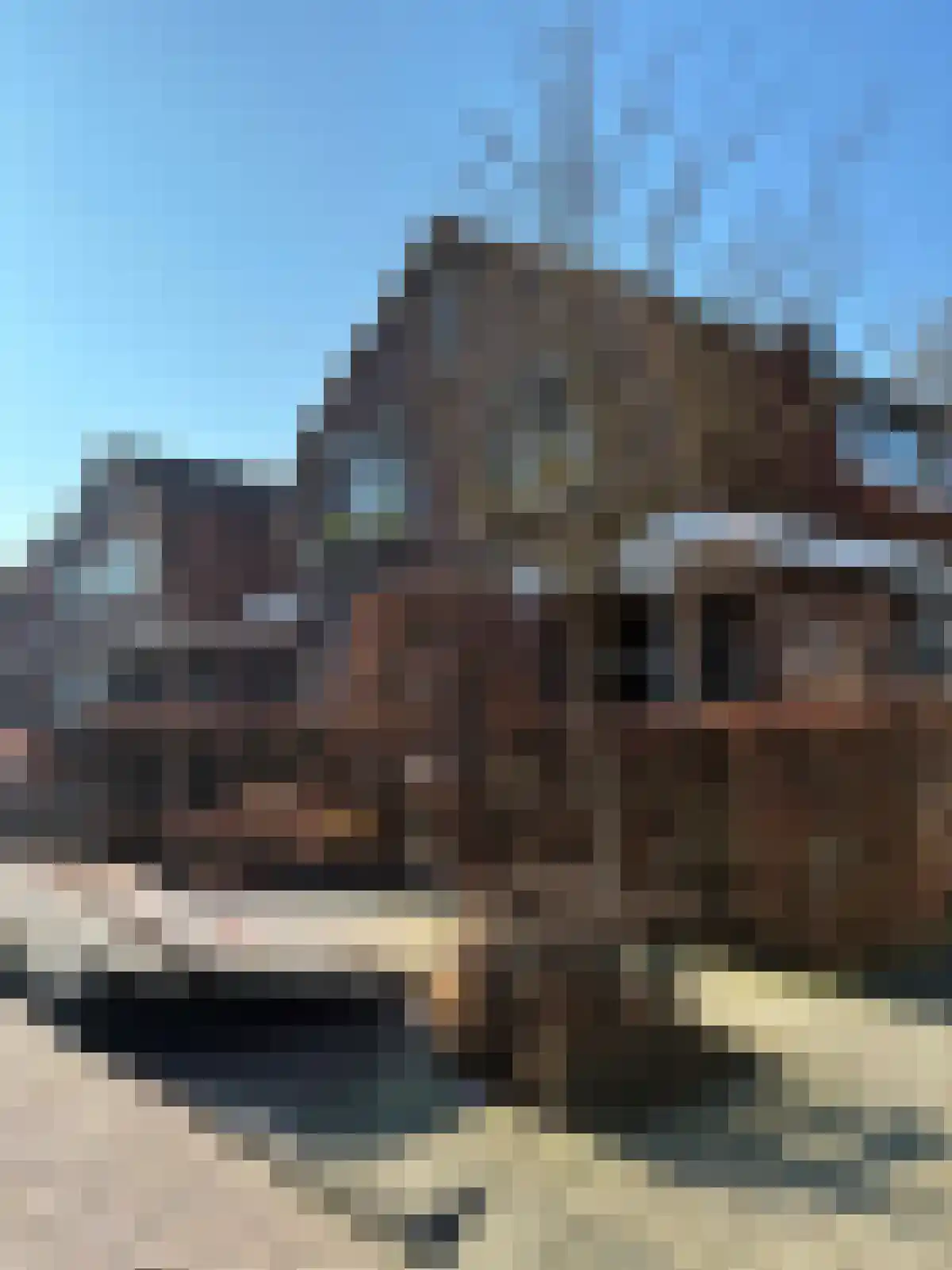 Dorpslaan 20 Nieuw-Lekkerland