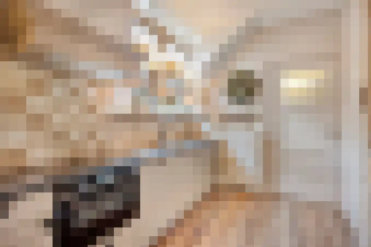 Dorpslaan 20 Nieuw-Lekkerland thumbnail 12