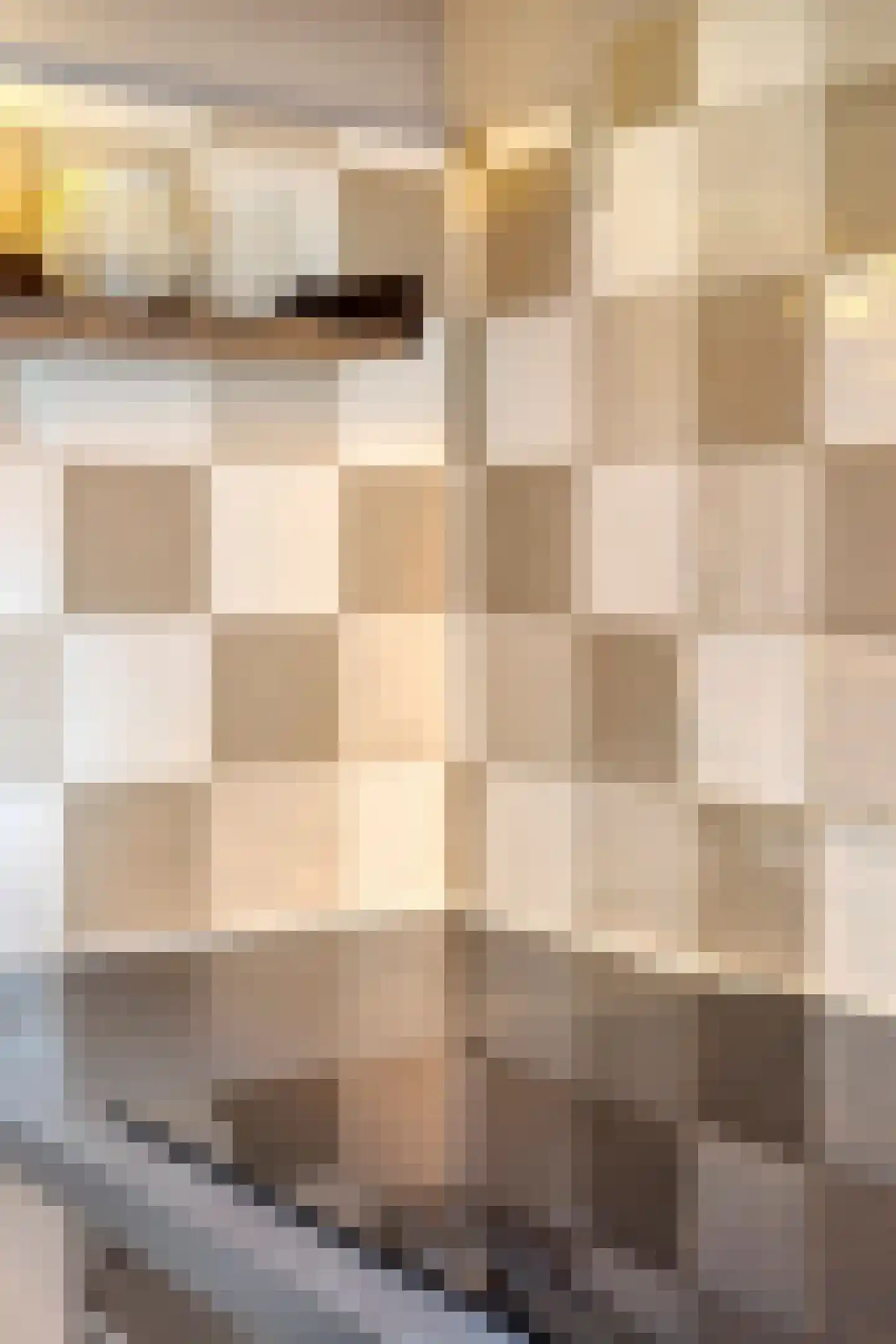 Dorpslaan 20 Nieuw-Lekkerland thumbnail 14