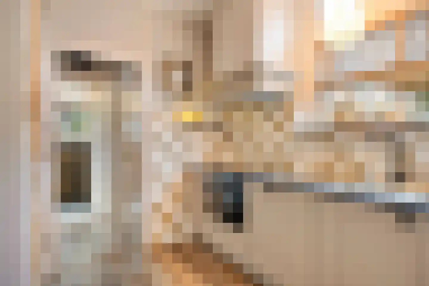 Dorpslaan 20 Nieuw-Lekkerland thumbnail 15
