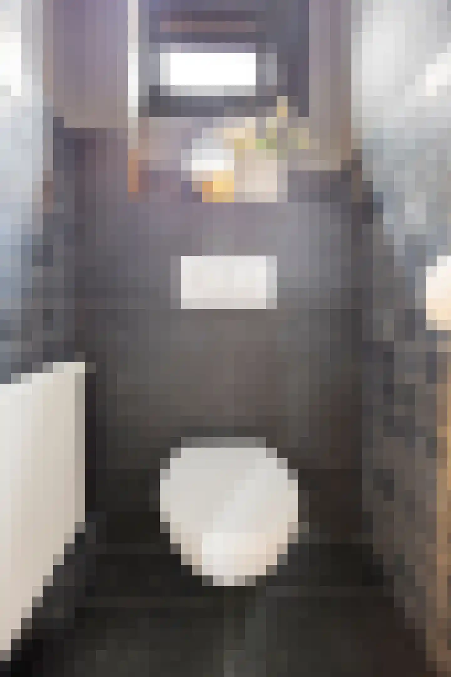 Dorpslaan 20 Nieuw-Lekkerland thumbnail 16