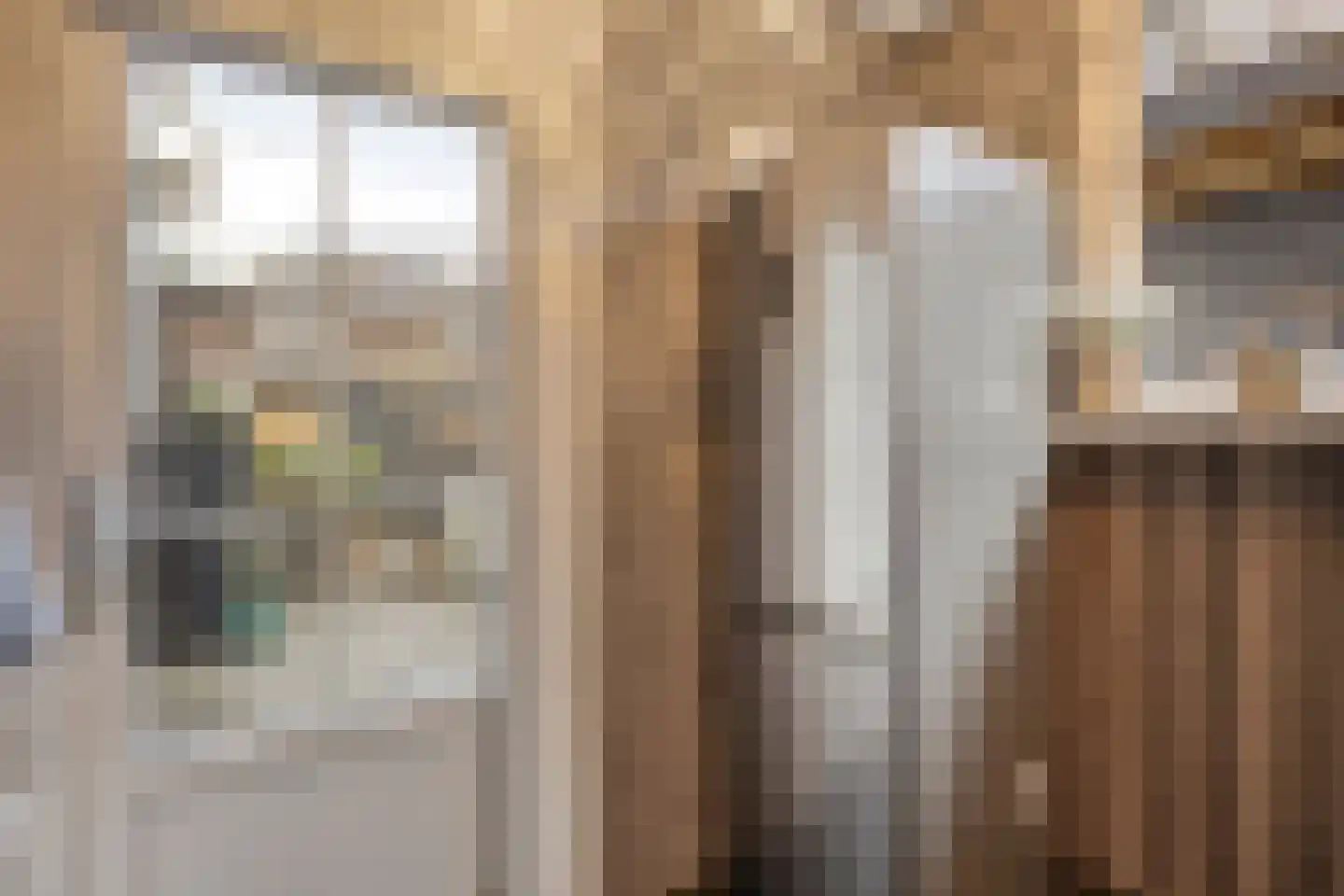 Dorpslaan 20 Nieuw-Lekkerland thumbnail 18