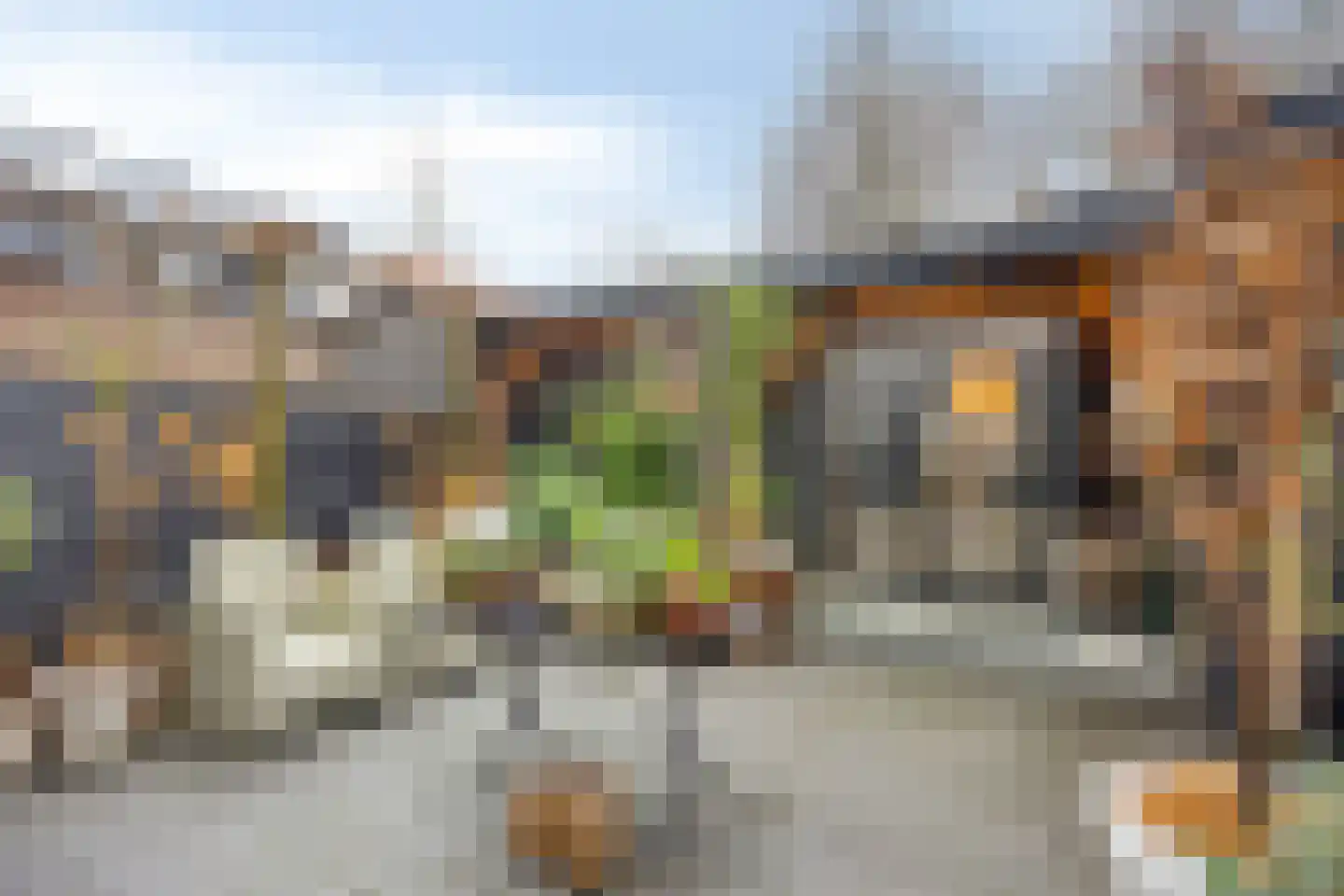 Dorpslaan 20 Nieuw-Lekkerland thumbnail 22