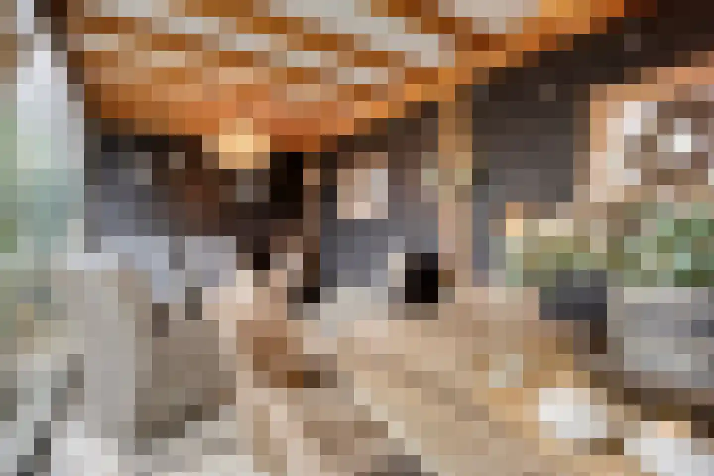 Dorpslaan 20 Nieuw-Lekkerland thumbnail 23