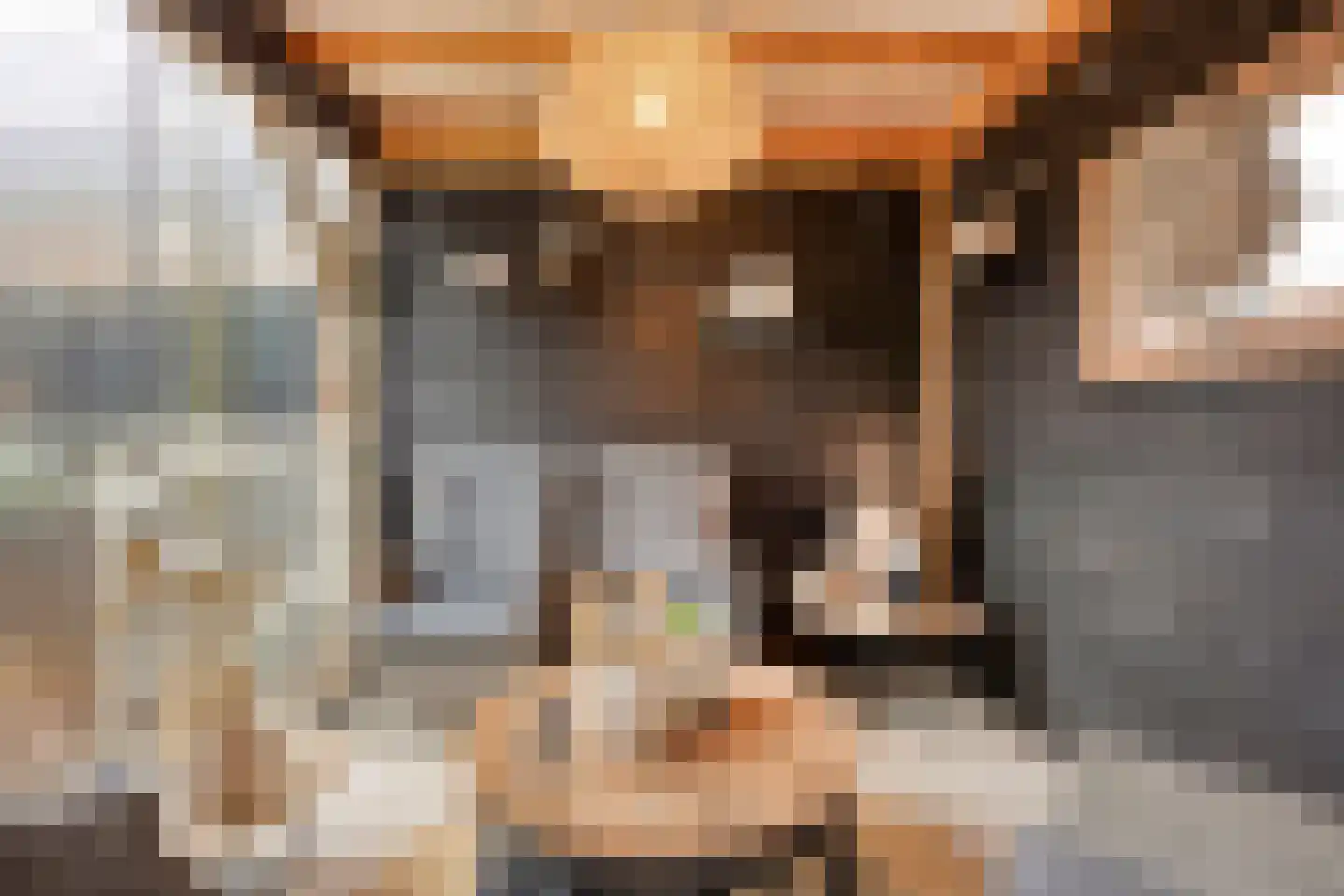 Dorpslaan 20 Nieuw-Lekkerland thumbnail 24