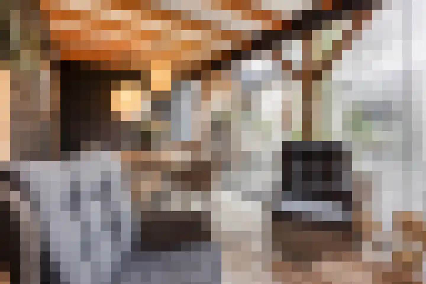 Dorpslaan 20 Nieuw-Lekkerland thumbnail 25