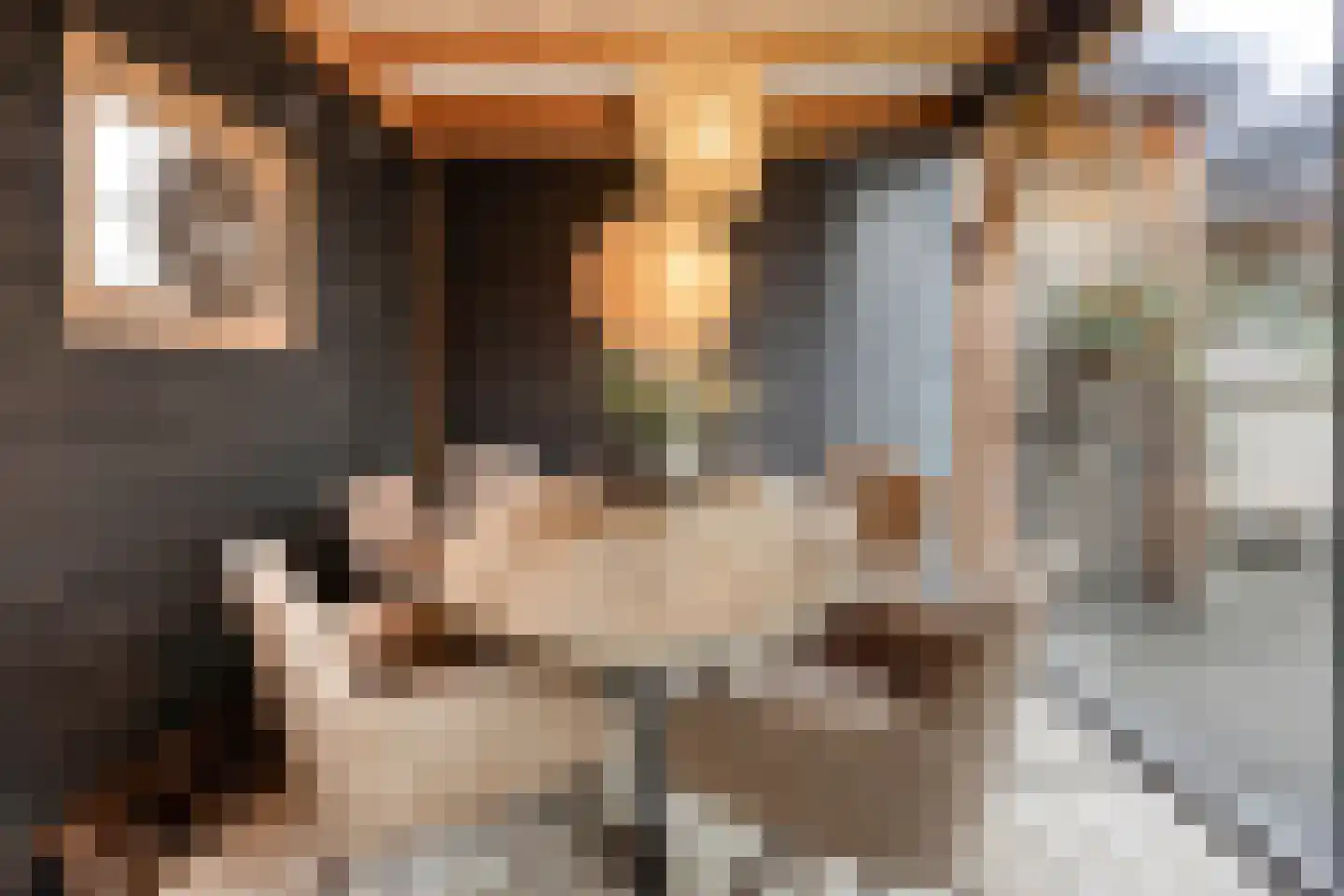 Dorpslaan 20 Nieuw-Lekkerland thumbnail 26