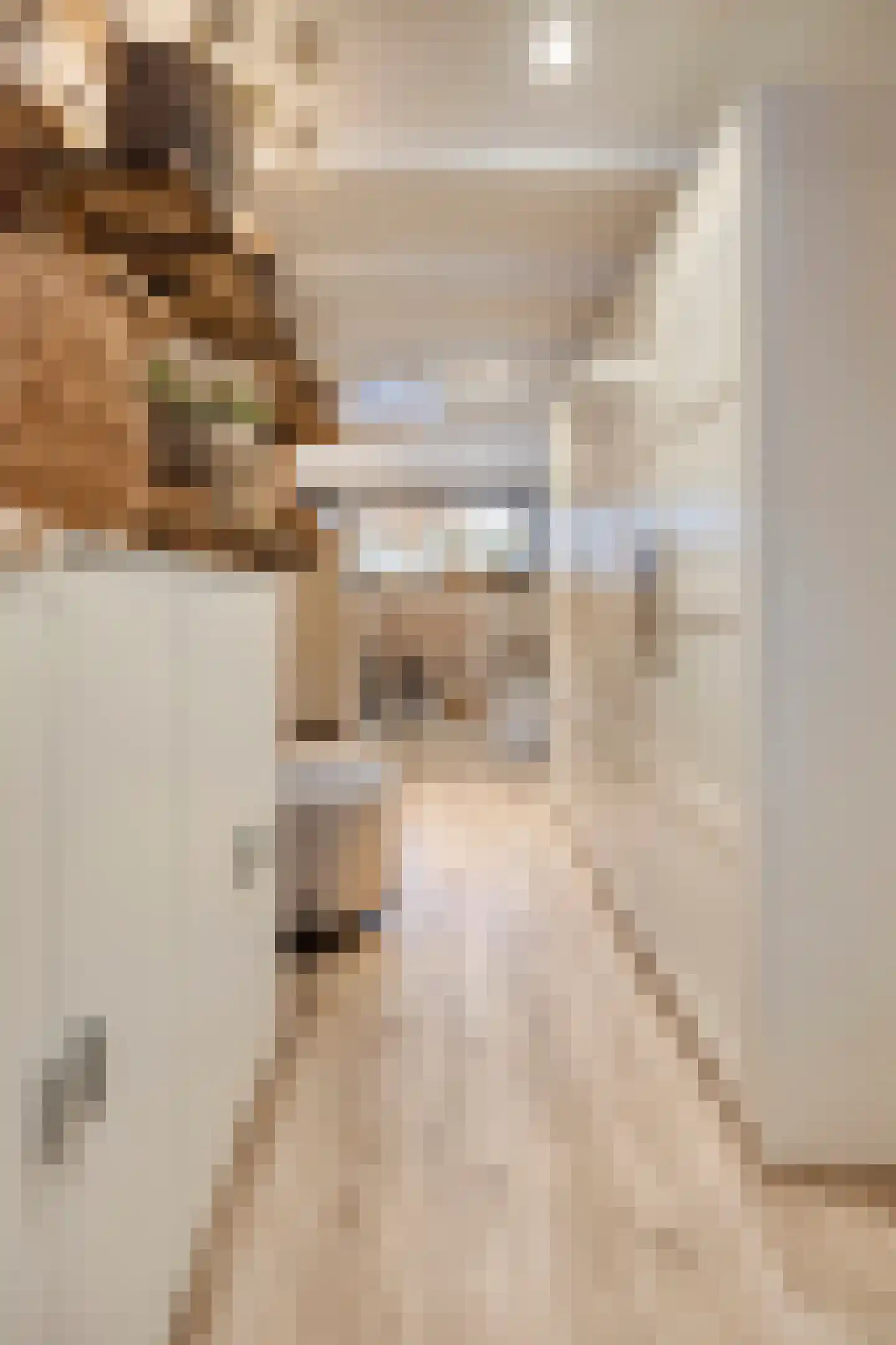 Dorpslaan 20 Nieuw-Lekkerland thumbnail 30