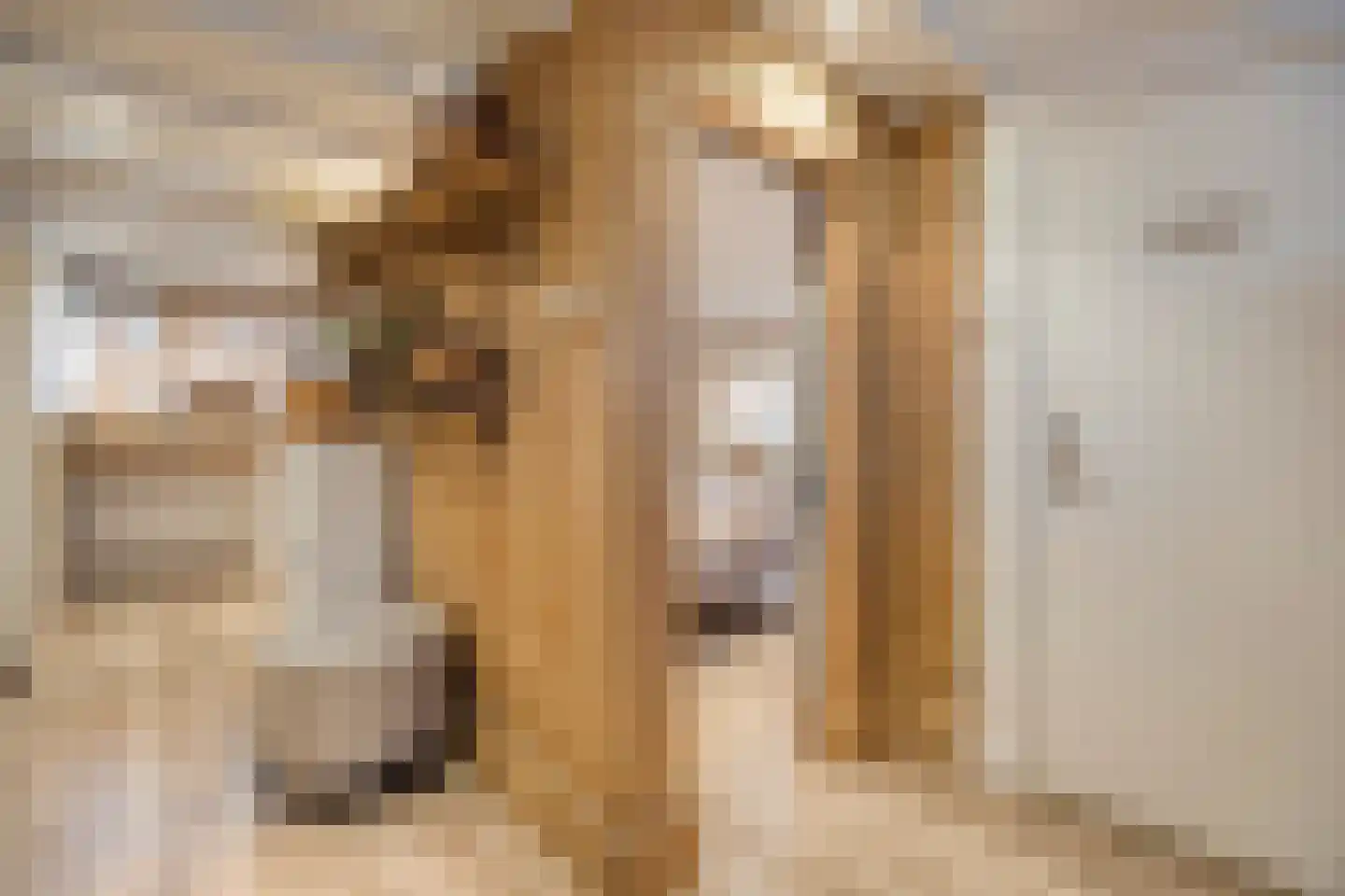 Dorpslaan 20 Nieuw-Lekkerland thumbnail 31