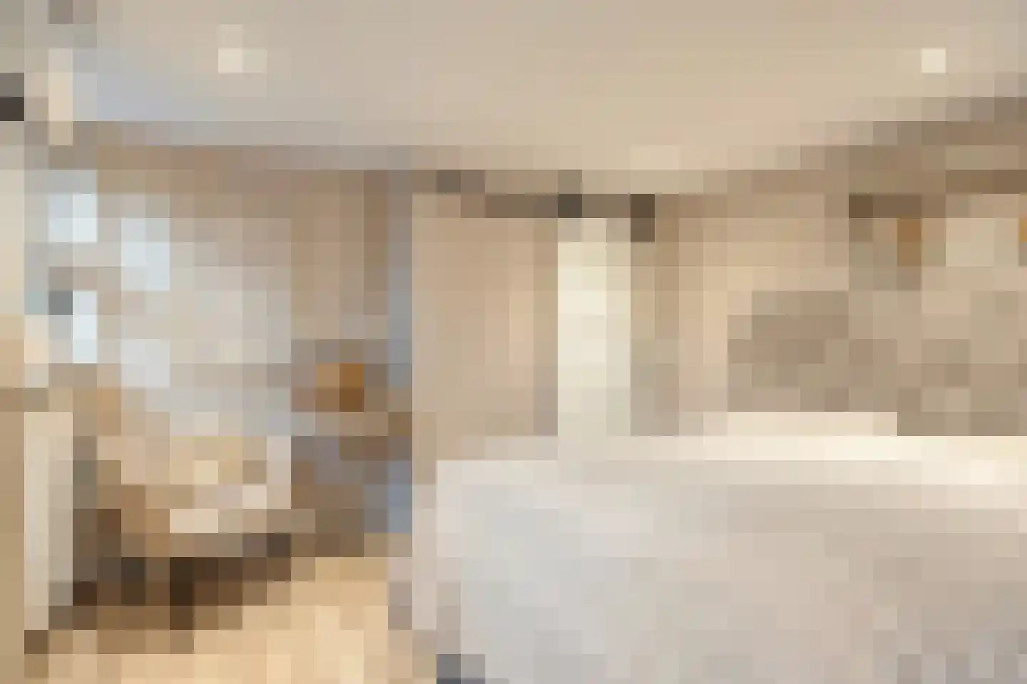 Dorpslaan 20 Nieuw-Lekkerland thumbnail 34