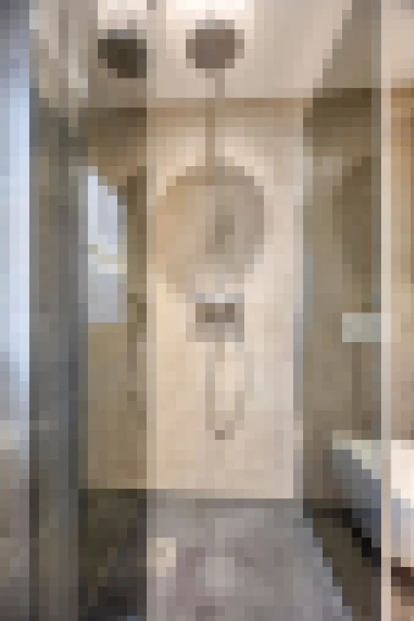 Dorpslaan 20 Nieuw-Lekkerland thumbnail 38