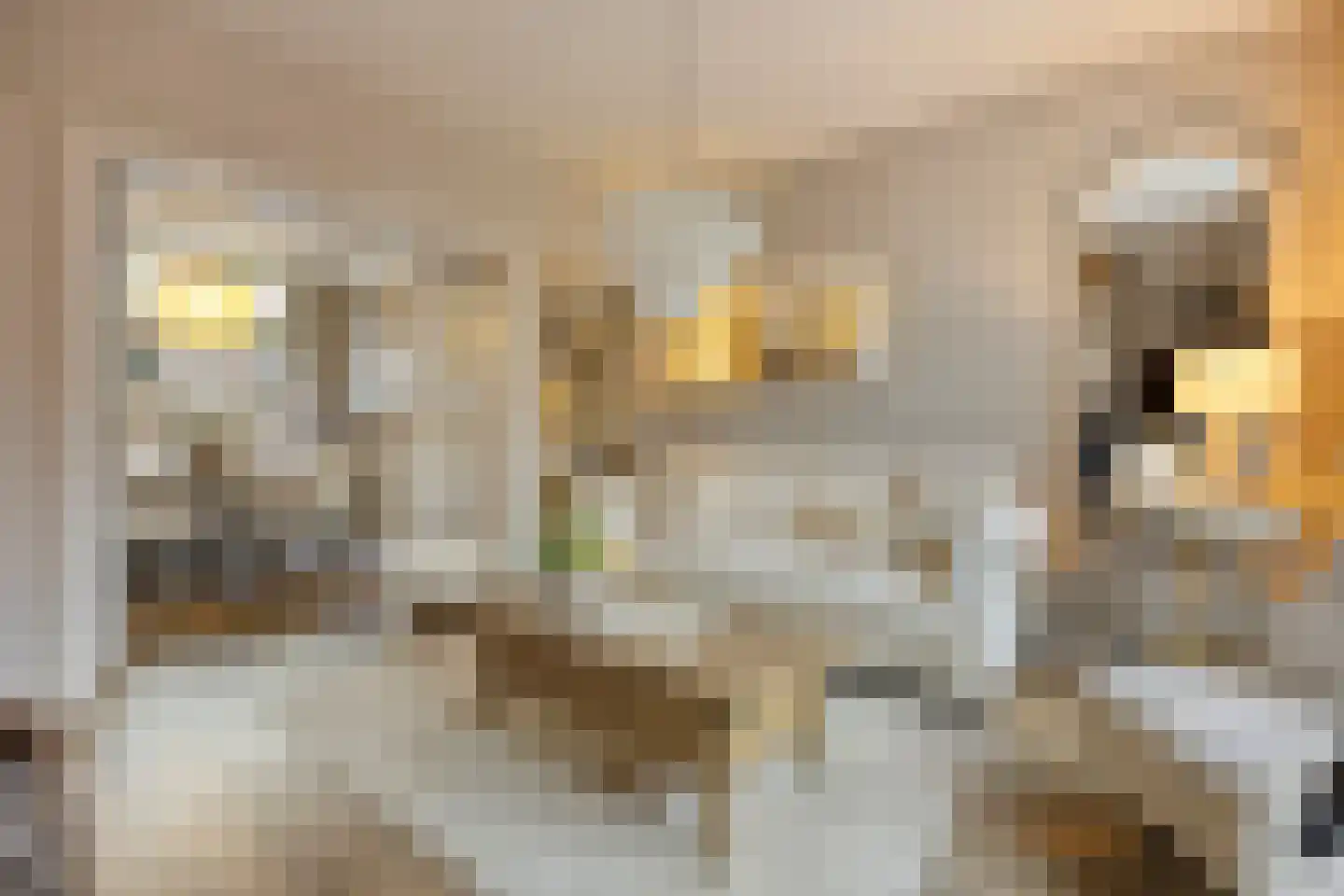 Dorpslaan 20 Nieuw-Lekkerland thumbnail 4