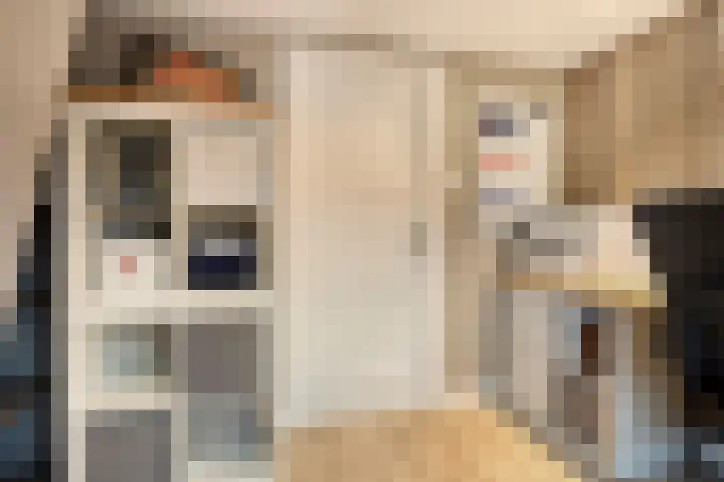 Dorpslaan 20 Nieuw-Lekkerland thumbnail 43