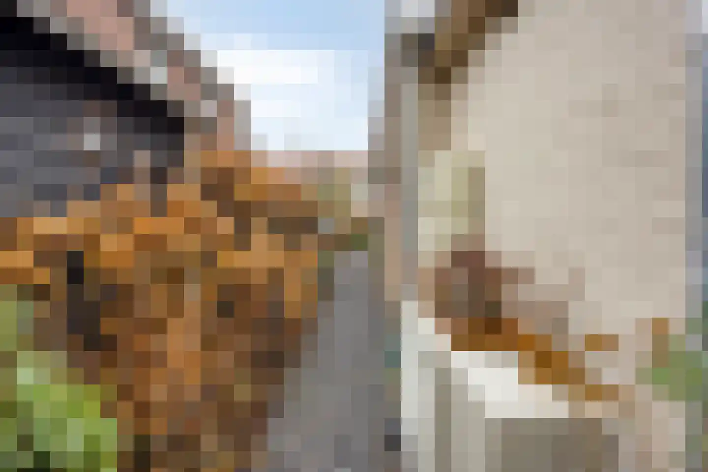 Dorpslaan 20 Nieuw-Lekkerland thumbnail 47