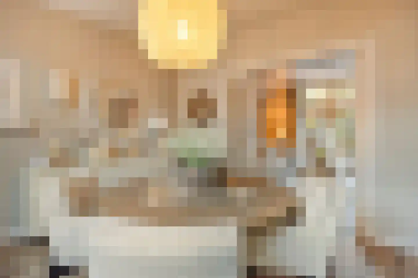 Dorpslaan 20 Nieuw-Lekkerland thumbnail 9